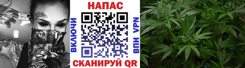 Марихуана OG Kush  Сергач 